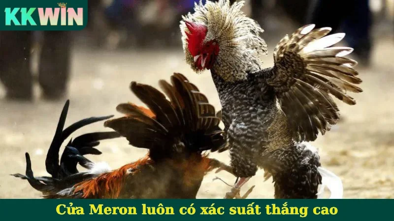 Cửa Meron luôn có xác suất thắng cao