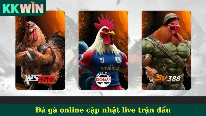 Đá gà online cập nhật live trận đấu