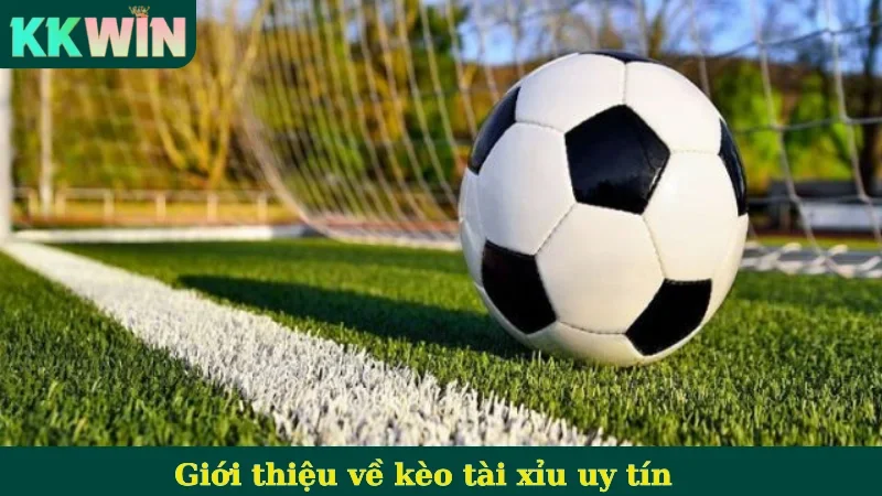 Giới thiệu về kèo tài xỉu uy tín